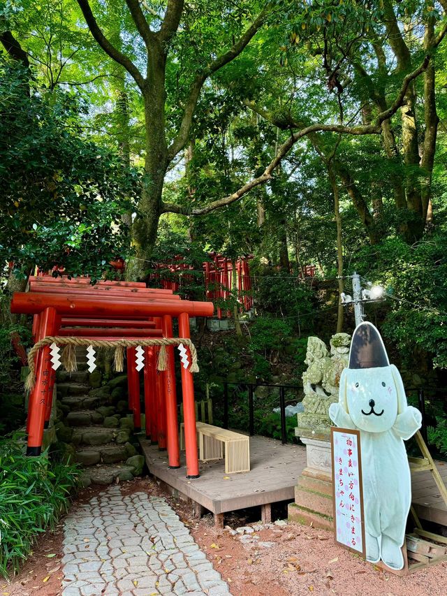 夏天去日本必打卡的5日超讚行程