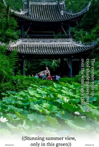 Meishan’s summer is surrounded by endless green