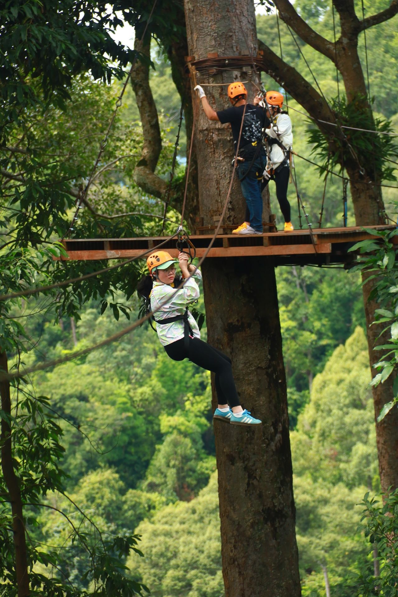 Jungle Flight is a top jungle zipline experience