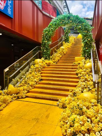 Surrounded by lemons! The freshest summer check-in spot in