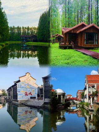 Just back from Yancheng. I really don't recommend going in September–October because it's just...