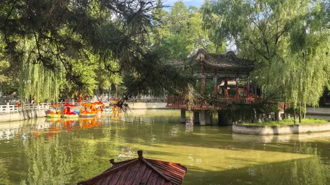 สีสันแห่งฤดูใบไม้ร่วงในสวนหงหยวน สวยจนเกินห้ามใจ — traveler post in หลินเซียะ