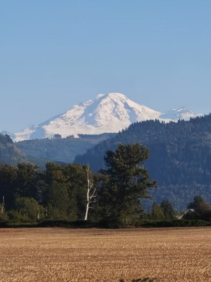 Golden autumn breeze, warm sunshine. Recently booked a day trip to Mount Baker National Forest. In this season of autumn winds and rain, it is rare in North America to have clear, sunny skies