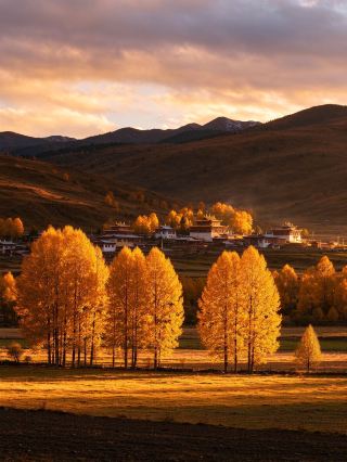 Xinduqiao Autumn Photography Guide: How to Shoot the "Corridor of Photographers"