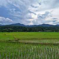 เมืองคอง ชุมชนเล็กๆ ที่มอบความสุขแก่ผู้มาเยือน