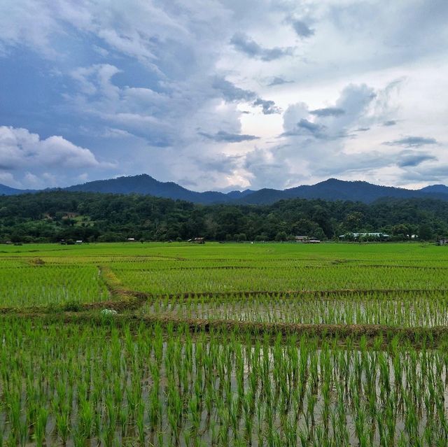 เมืองคอง ชุมชนเล็กๆ ที่มอบความสุขแก่ผู้มาเยือน