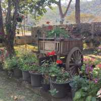 Bee & Rose café