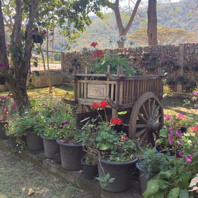 Bee & Rose café