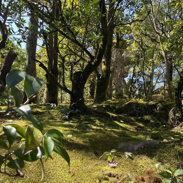 平安神宮内の日本庭園で四季を感じる旅