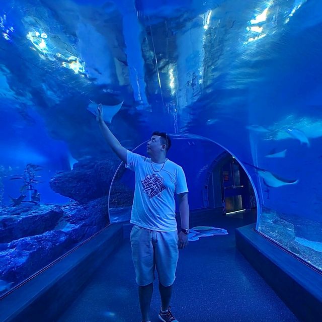Under The Sea In Bangkok City