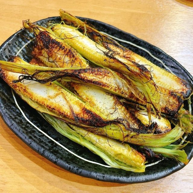 【神奈川県/大磯町】大磯港