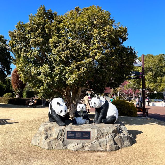 【和歌山】和歌山に行ってパンダに会おう！