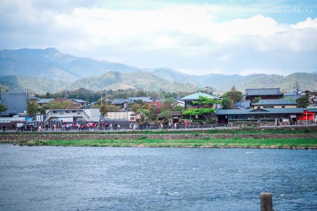 Arashiyama Bamboo Grove & Togetsu-kyo Bridge