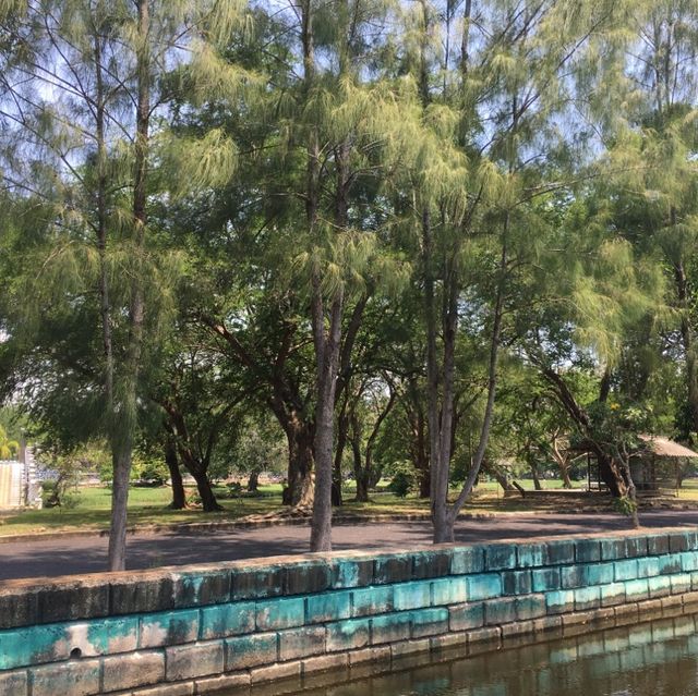 The City Park