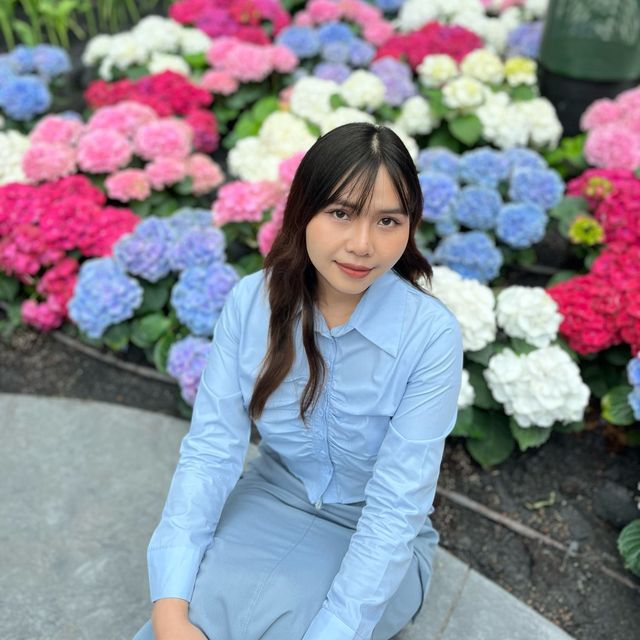 🌷ดอกทิวลิปบานที่ระยอง 🌷