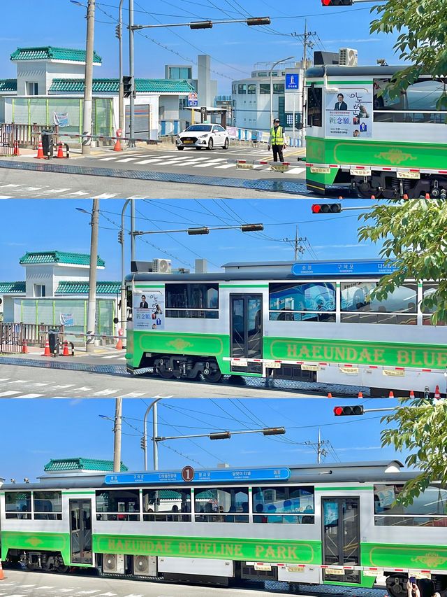 슬램덩크가 떠오르는 부산 청사포 해변열차🚃