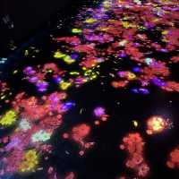 teamLab 新加坡 - 來自日本的藝術體驗