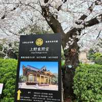 Cherry blossom viewing Park