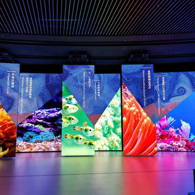 深圳當代藝術及城市規劃館