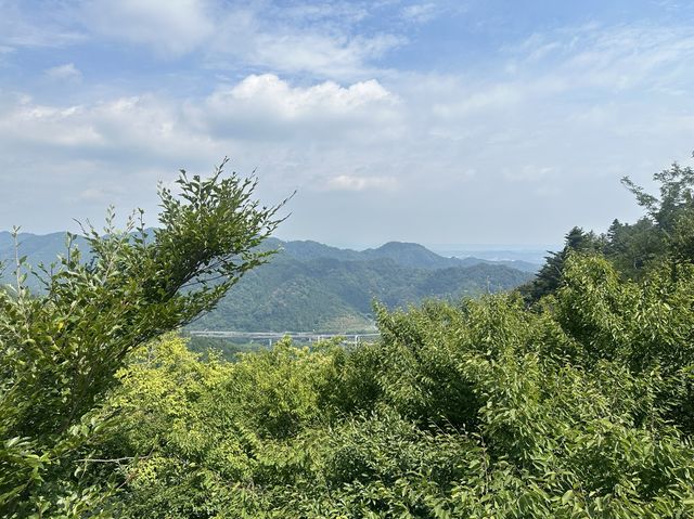 東京近郊隱世景點解鎖！高尾山～