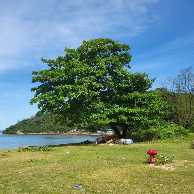 不一樣的大嶼山