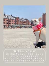 【横浜】わんこと行けるスポット6選🎡