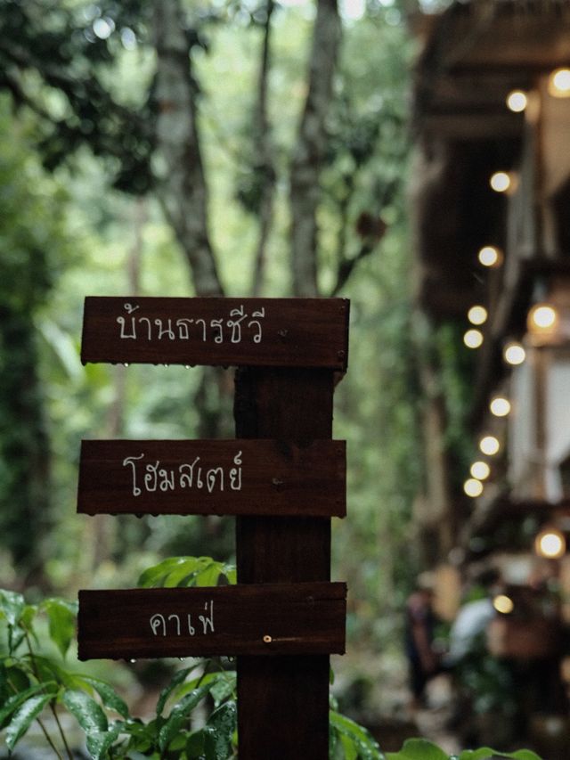 บ้านธารชีวี จ.เชียงใหม่ ที่พักสุดชิลริมลำธาร