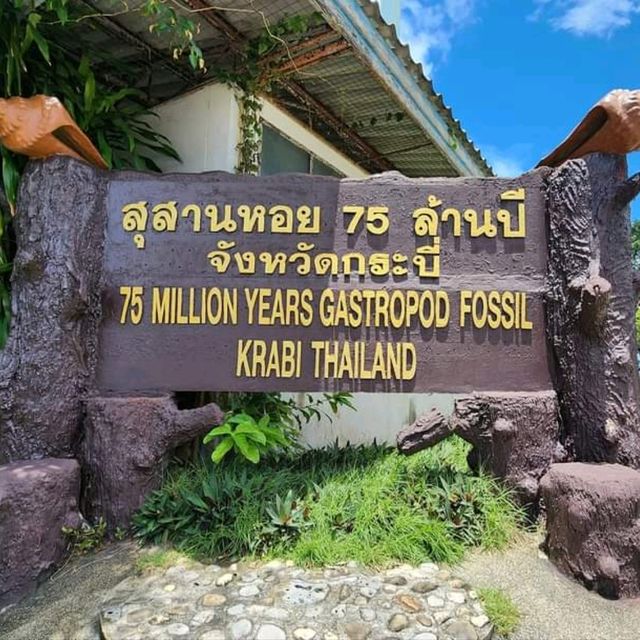 สุสานหอย 75 ล้านปี จ.กระบี่