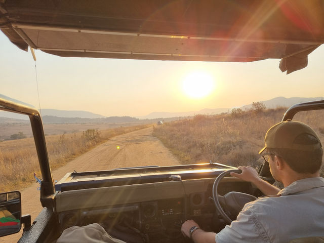 The Safari Drive At Pilanesberg National Park