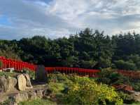 高山稻荷神社：美景，特色鳥居，適合任何時間和場景