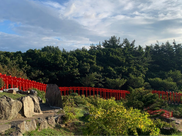 高山稻荷神社：美景，特色鳥居，適合任何時間和場景