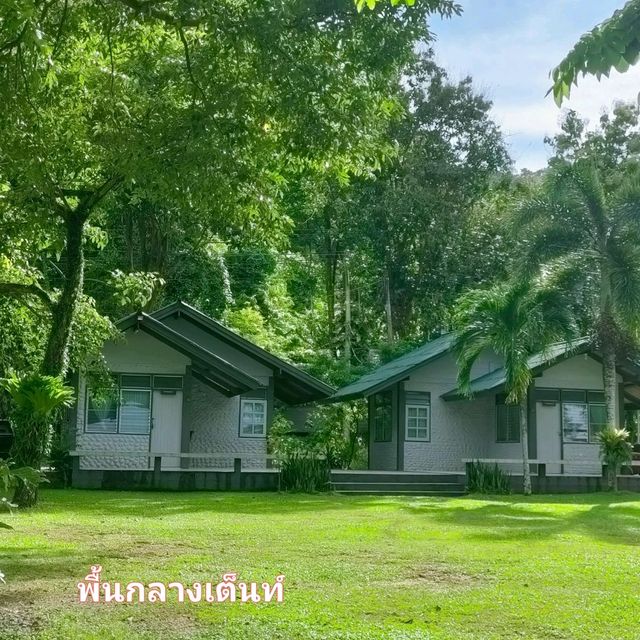 ลานกลางเต็นท์ @ น้ำตกธารมะยม เกาะช้าง