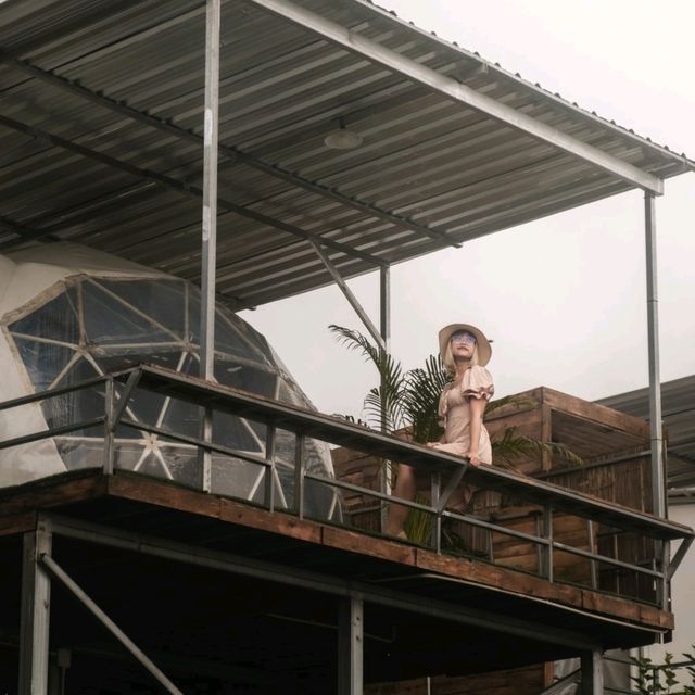 พักผ่อนฮีลใจในสายหมอก | สายดอยโฮมสเตย์ม่อนแจ่ม