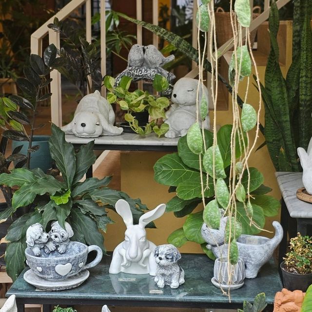 ขจี คาเฟ่ 