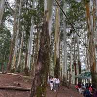 PARADISE OF KERALA