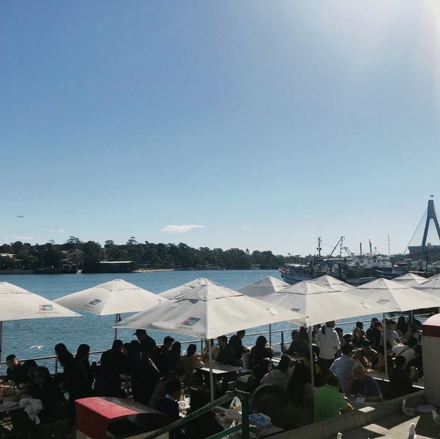 Sydney's Seafood Paradise