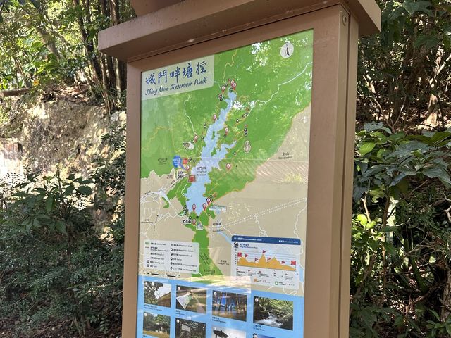 迷人的水塘與白千層，踏上城門水塘之旅