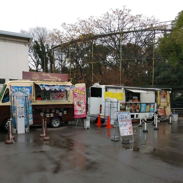 入場料 大人500円！大満足 天王寺動物園