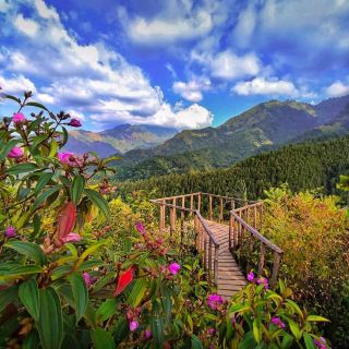 Natural tourism