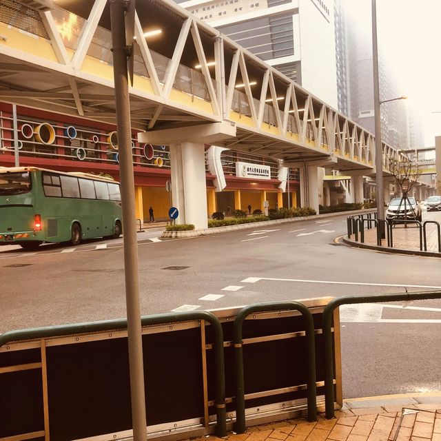 TAIPA PEDESTRIAN OVERPASS BRIDGE