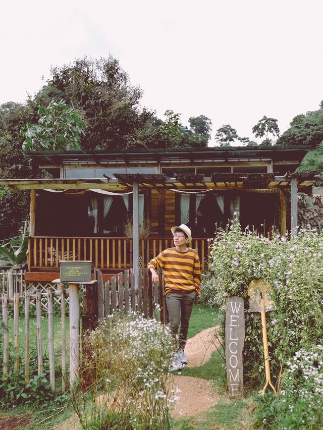 Mori Natural Farm โมริ เนเชอรัลฟาร์ม เชียงใหม่ 