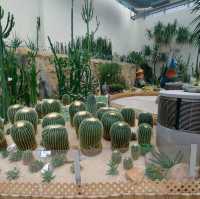 親子好去處—香港公園