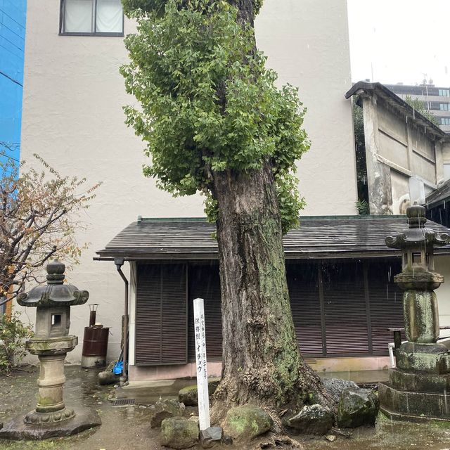 名古屋稻荷狐狸 富士淺間神社