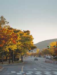 경주 알록달록 단풍명소 보문관광단지 