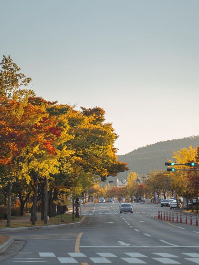경주 알록달록 단풍명소 보문관광단지 