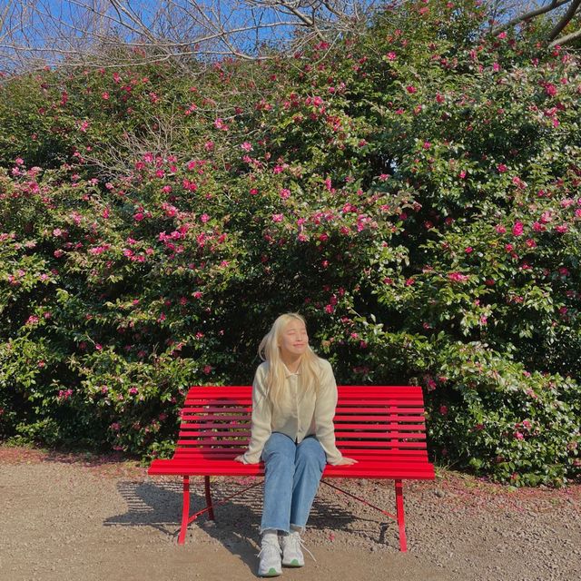 카멜리아힐에선 다양한 포즈를 마음껏 즐겨보세요🌺