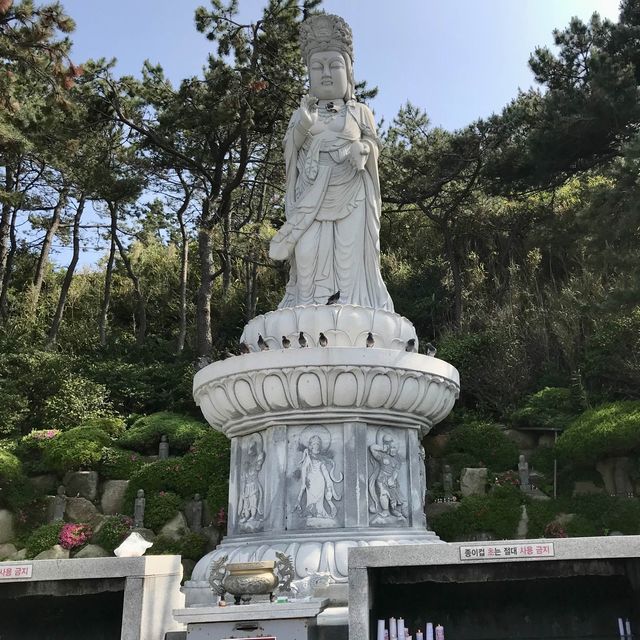 令人驚歎既建築，依海而建的海東龍宮寺