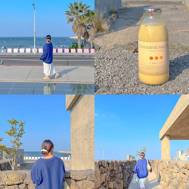 제주도 가고싶어지는 여행 코스 추천 🥰