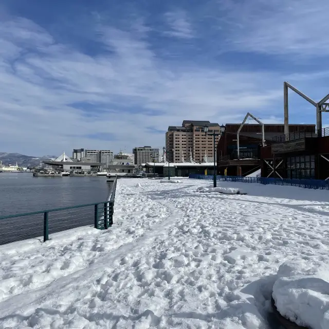 Enjoying a Winter Wonderland: Visiting Mount Hakodate for the Night View during a Snowfall in Hakoda