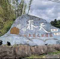 《陽明春天》